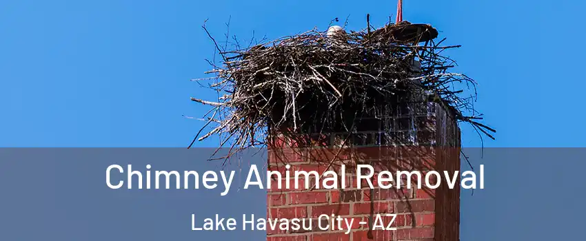 Chimney Animal Removal Lake Havasu City - AZ