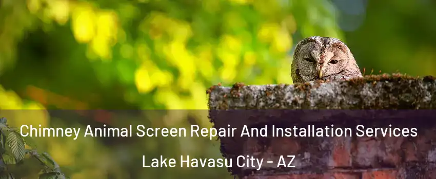  Chimney Animal Screen Repair And Installation Services Lake Havasu City - AZ