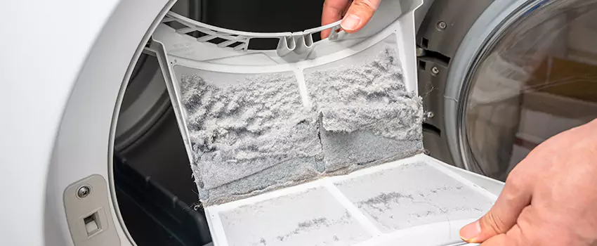 Best Dryer Lint Removal Company in Lake Havasu City, Arizona
