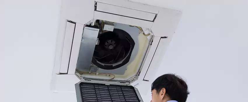 Benefits of Professional Air Duct Cleaning in Lake Havasu City, Arizona