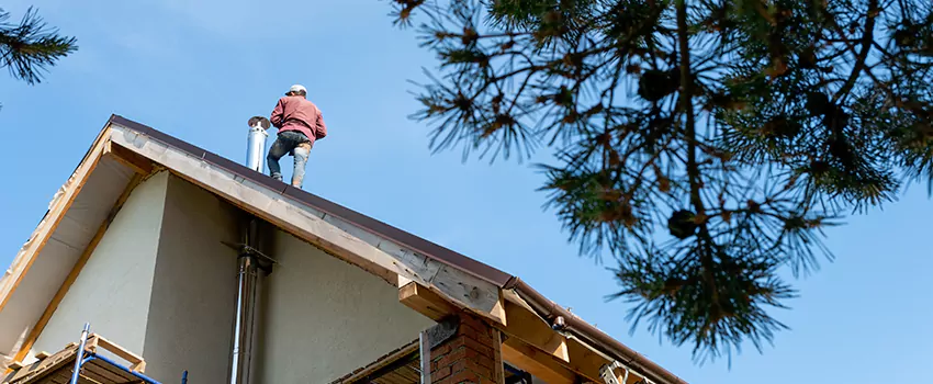 Birds Removal Contractors from Chimney in Lake Havasu City, AZ